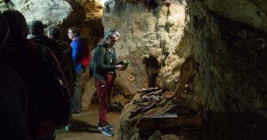 Экскурсии в Пещеру Таврида из Коктебеля 2024