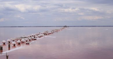 Экскурсии в Озеро Сасык-Сиваш (розовое озеро) из Коктебеля 2024
