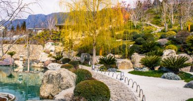 Экскурсии в `Японский сад "Шесть чувств" в отеле "Мрия"` из Коктебеля